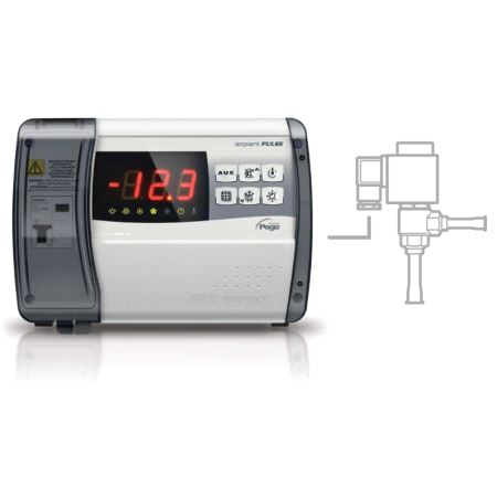 Pego ECP 200 Expert Pulse Regulator